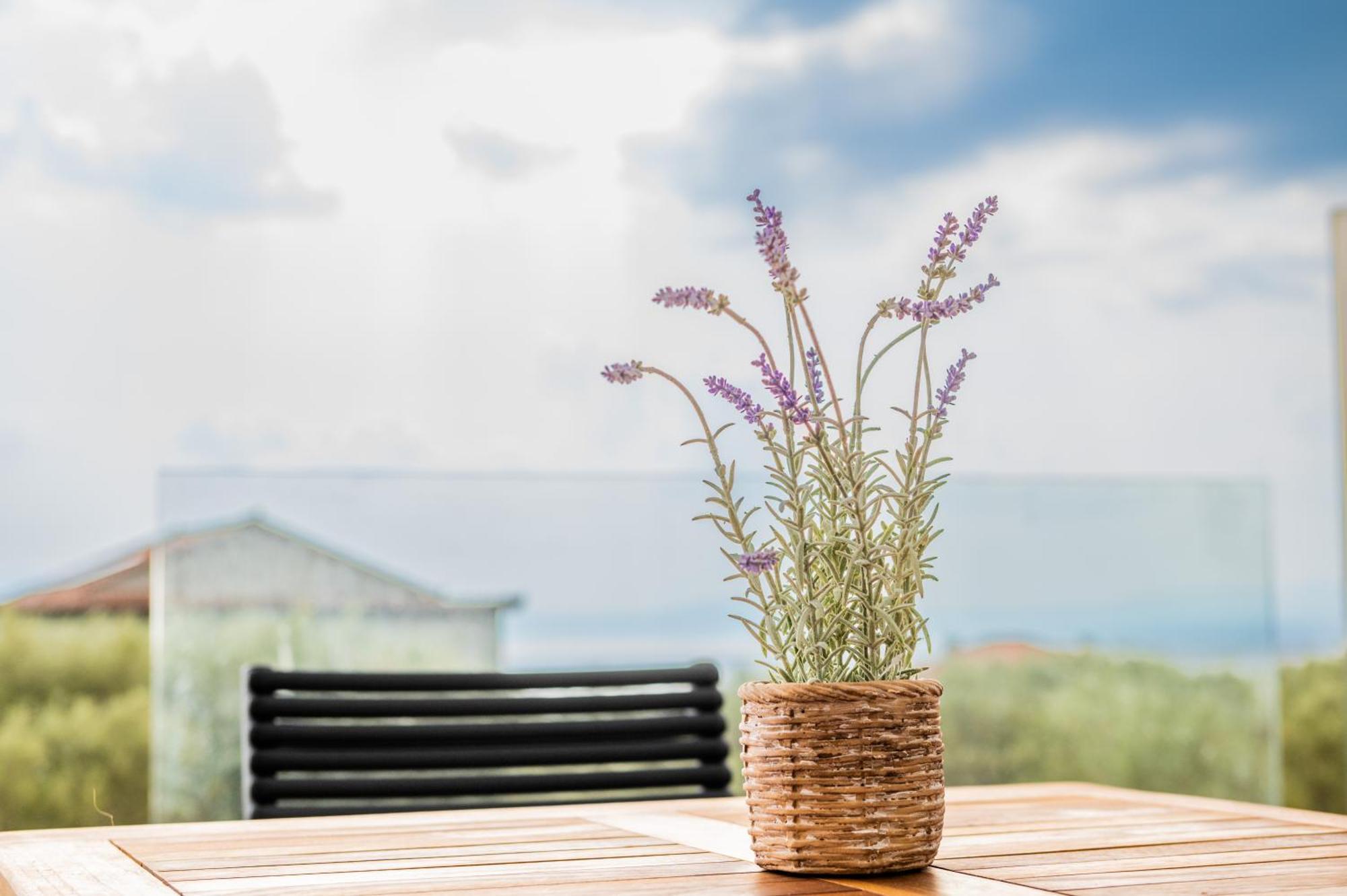 Petradi Suites Kalamata Bagian luar foto